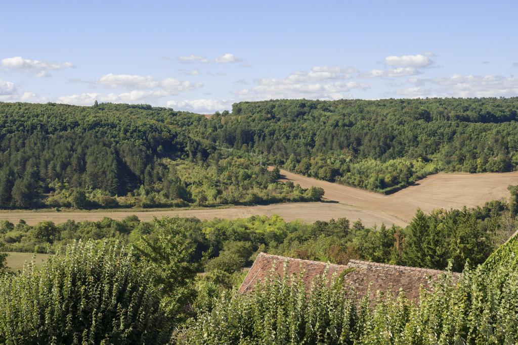 Hotel Restaurant De La Poste & Du Lion D'Or Vézelay Kültér fotó